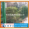 寧夏中衛(wèi)葡萄園護(hù)欄網(wǎng) 中衛(wèi)果園圍欄網(wǎng)